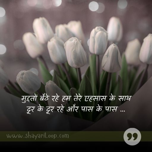 2 Line Shayari