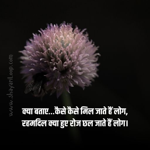 Best Life Shayari