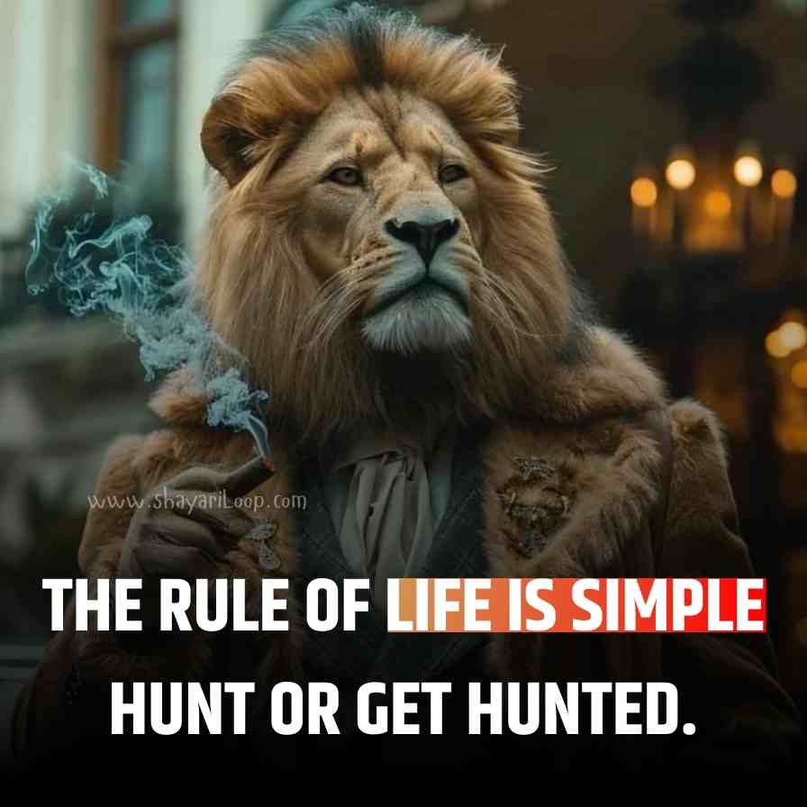 Attitude Status dp in English