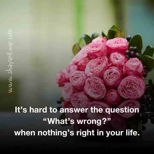 Life WhatsApp Status Quotes