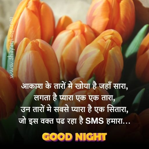 Good Night Shayari In Hindi For Friends