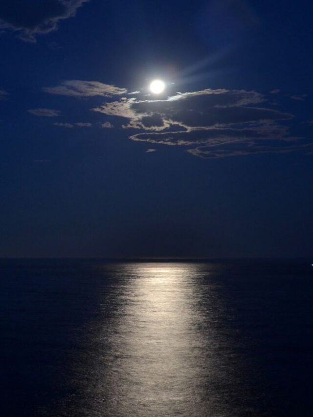 🌙 Good Night Shayari