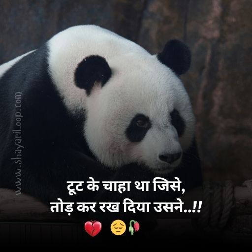 Sad Shayari Image Download