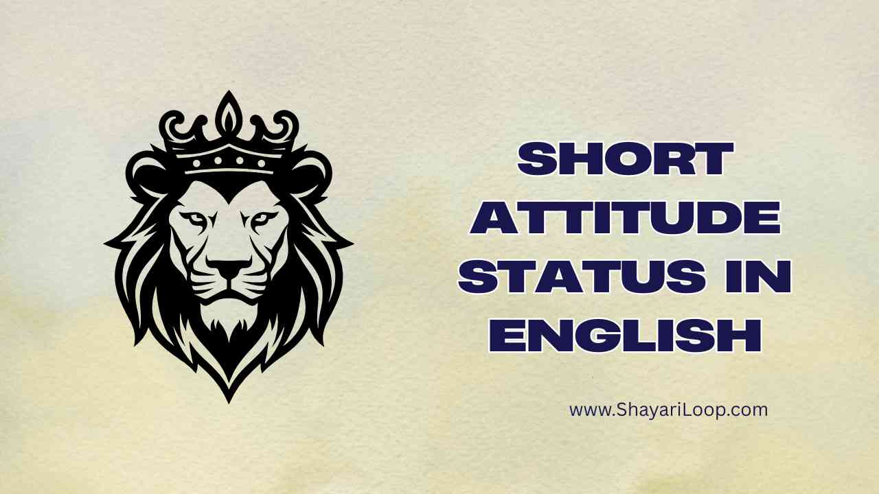 Best Short Attitude Status in English